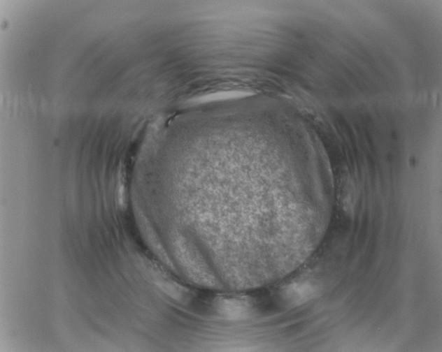 X0000065980510200603172118