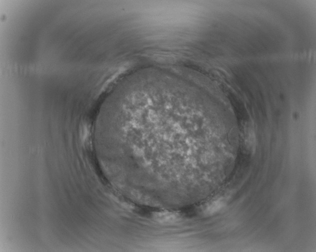 X0000065980511200603172118