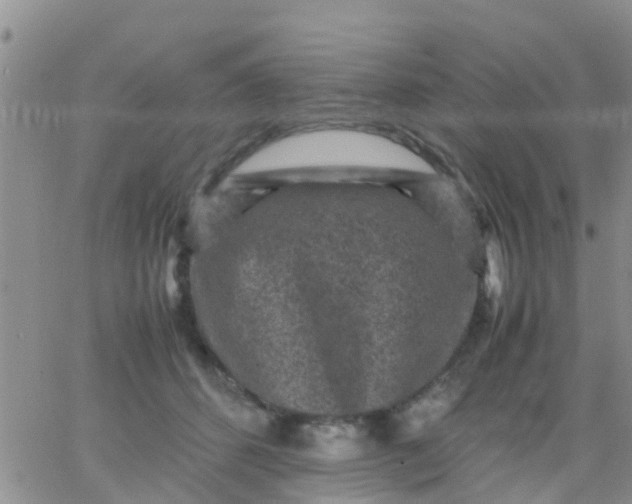 X0000065980512200603172118