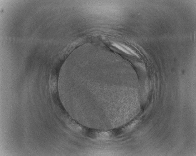 X0000065980513200603172118