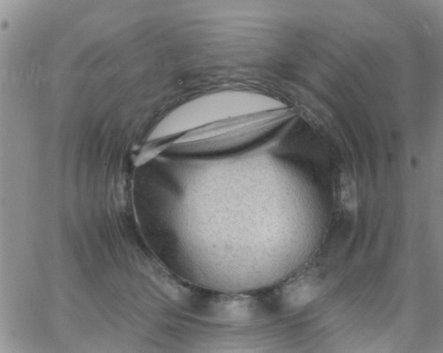 X0000065980514200603172118