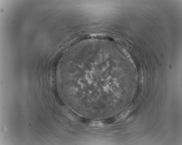 X0000065980519200603172118