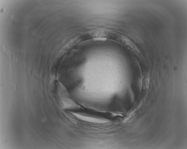 X0000065980521200603172118