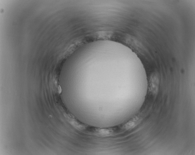 X0000065980522200603172118