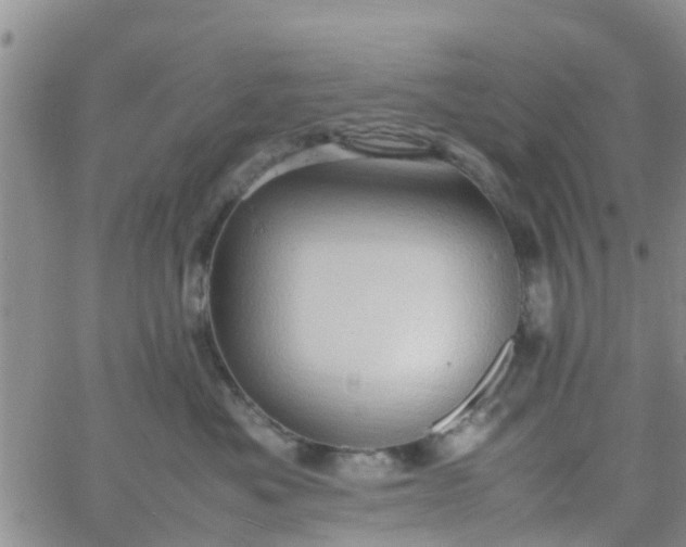 X0000065980525200603172118