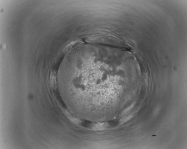 X0000065980527200603172118