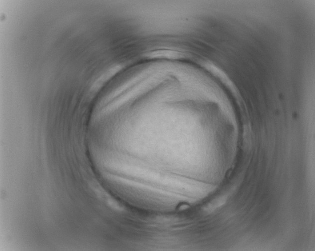 X0000065980529200603172117