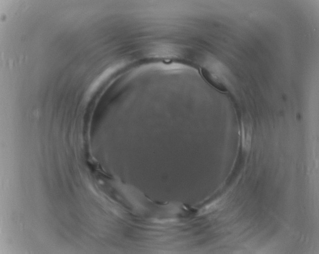 X0000065980531200603172117