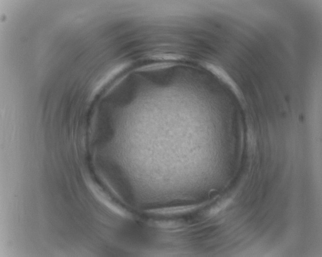 X0000065980533200603172117