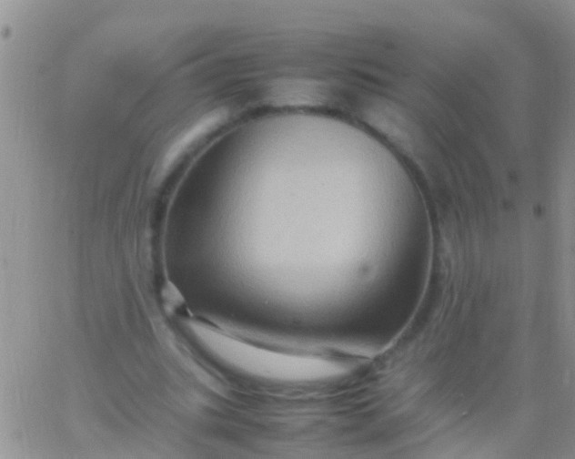 X0000065980535200603172117