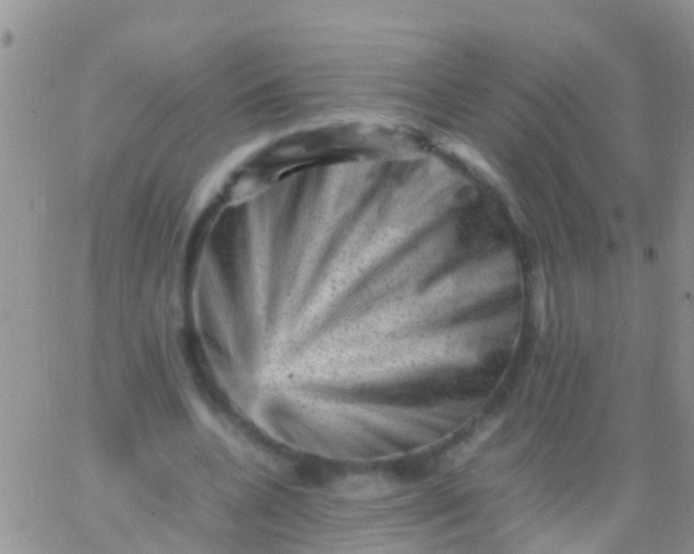 X0000065980536200603172117