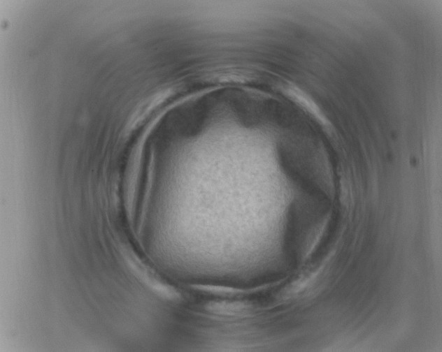 X0000065980537200603172117