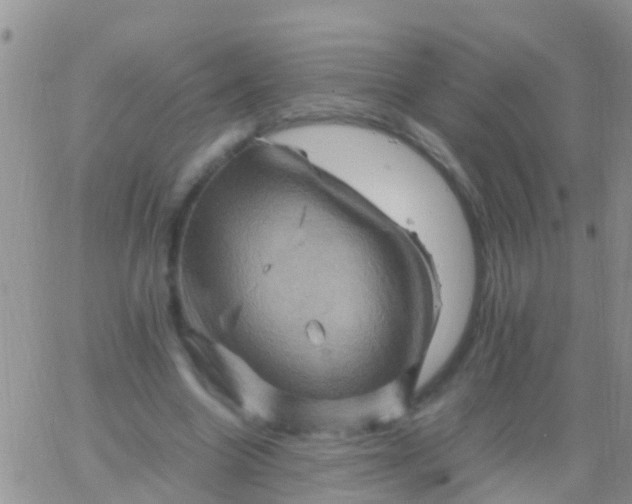 X0000065980538200603172117