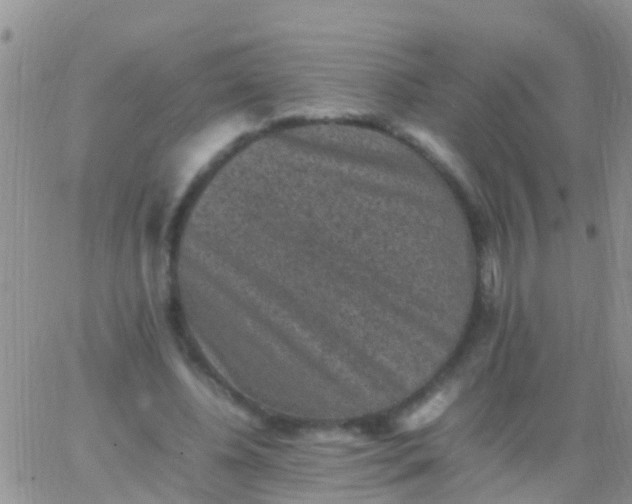 X0000065980540200603172117