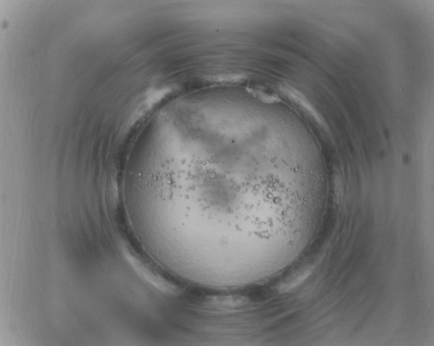 X0000065980541200603172118