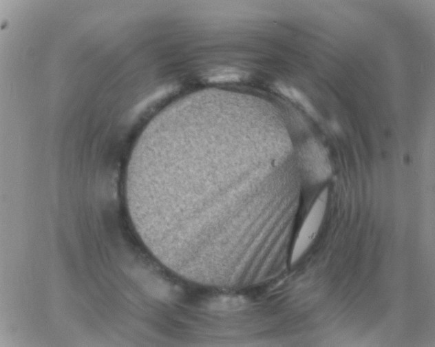 X0000065980543200603172118