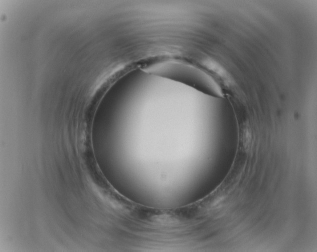 X0000065980544200603172118