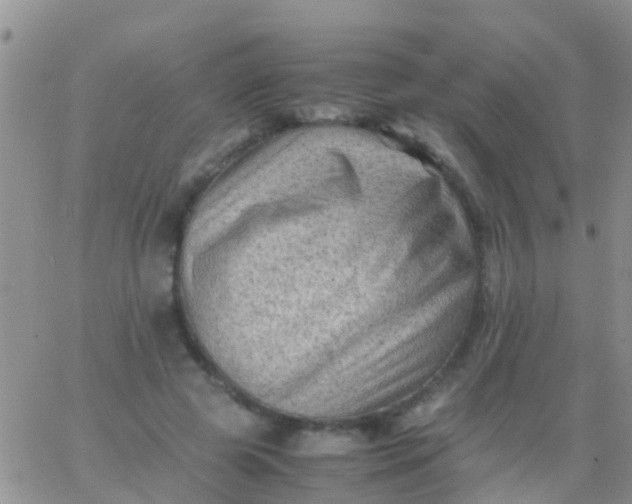 X0000065980545200603172118