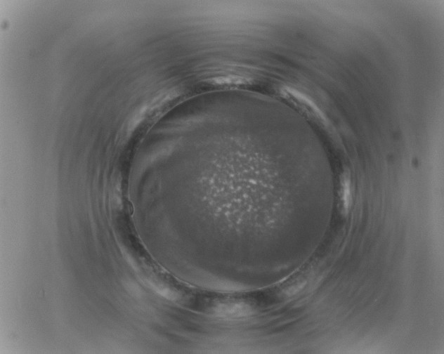 X0000065980547200603172118