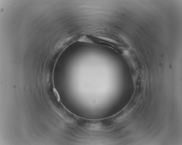 X0000065980548200603172118