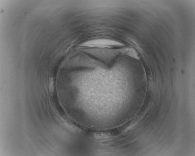 X0000065980549200603172118