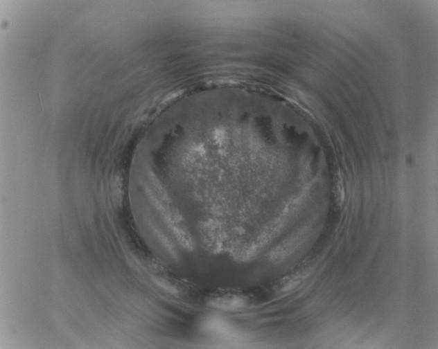 X0000065980551200603172118