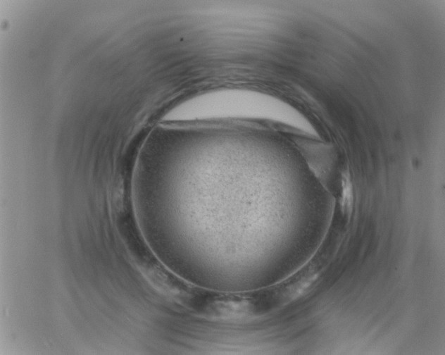 X0000065980552200603172118