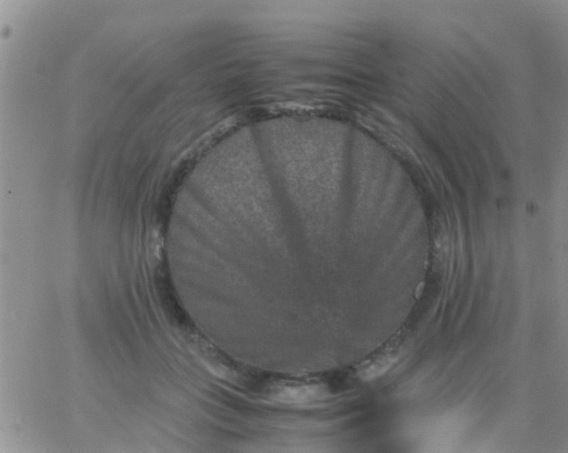 X0000065980555200603172118