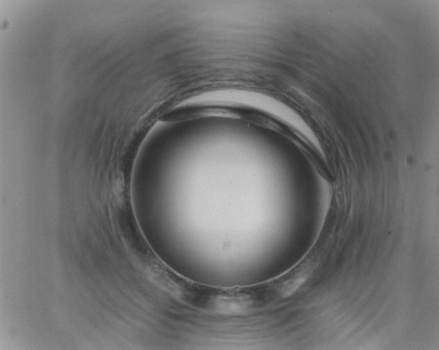 X0000065980556200603172118