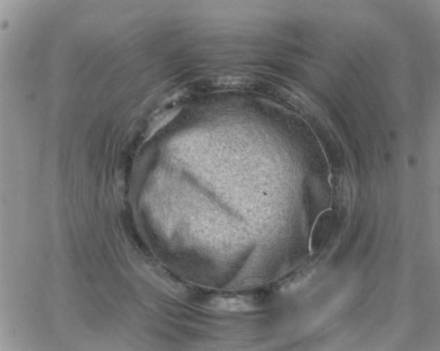 X0000065980557200603172118