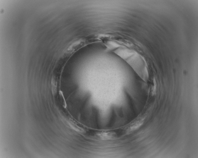 X0000065980558200603172118