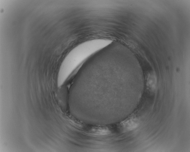 X0000065980559200603172118