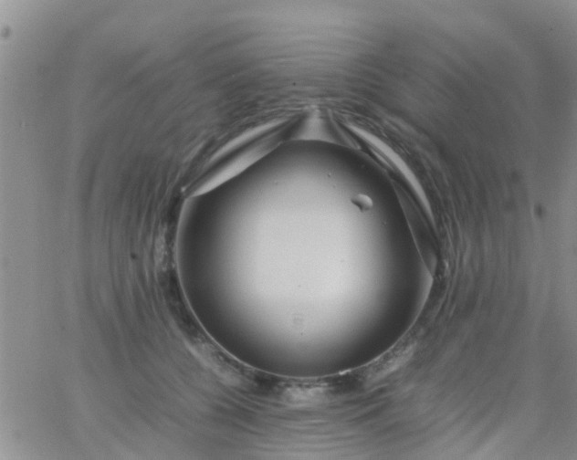 X0000065980560200603172118