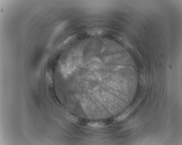 X0000065980561200603172118