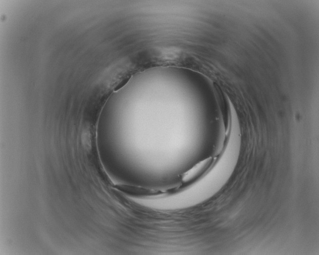 X0000065980562200603172118