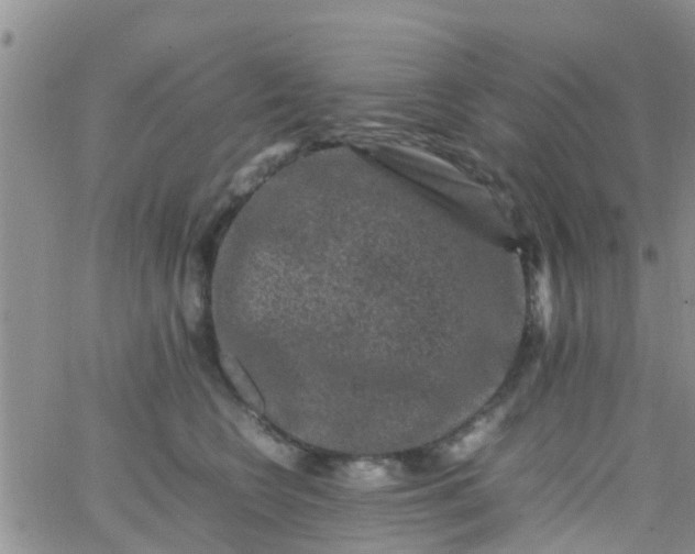 X0000065980566200603172118