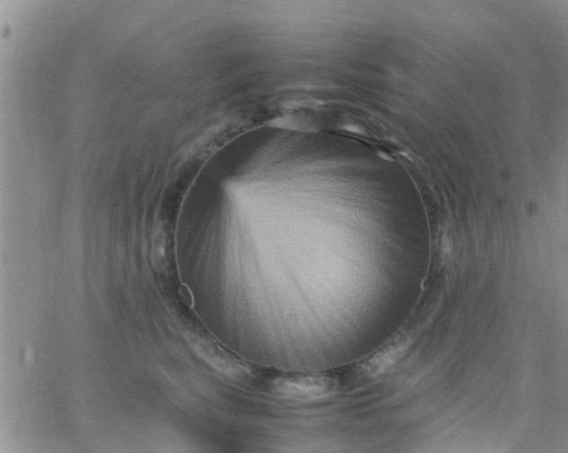 X0000065980567200603172118