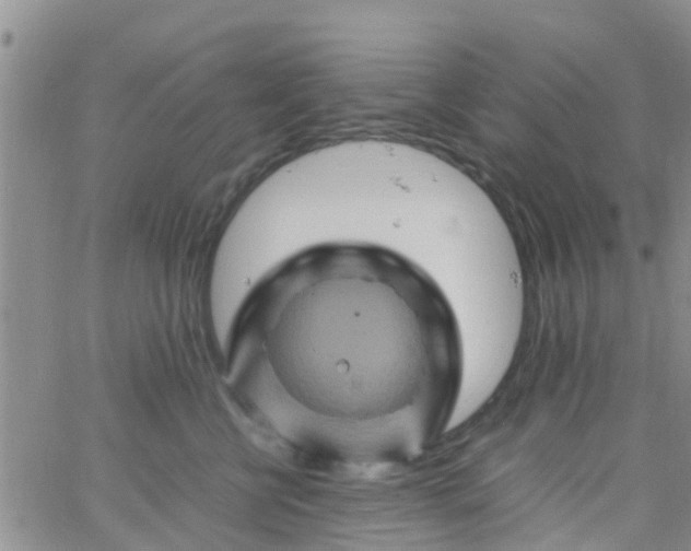 X0000065980570200603172118