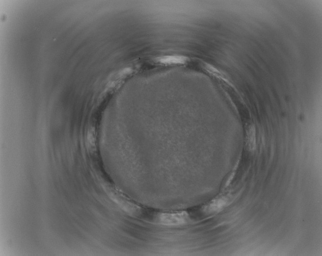 X0000065980571200603172118