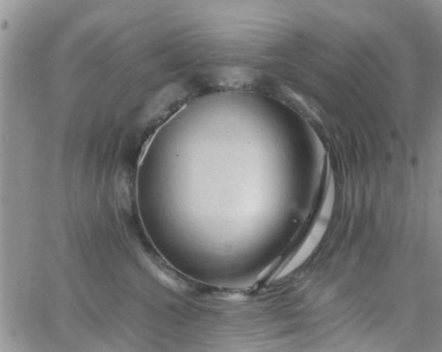 X0000065980572200603172118