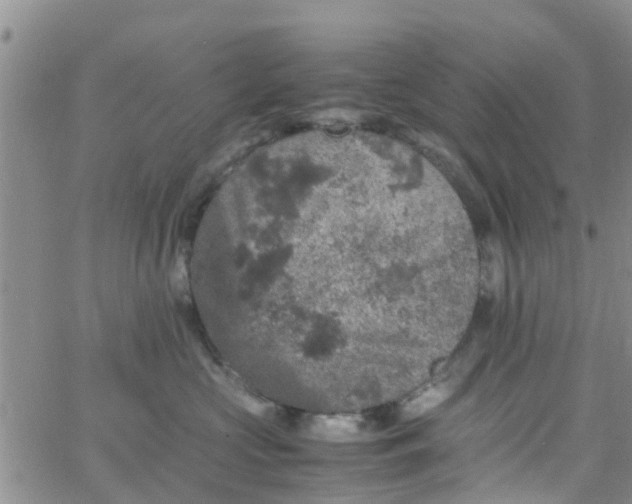 X0000065980573200603172118