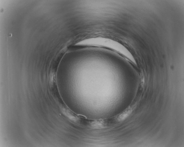 X0000065980574200603172118