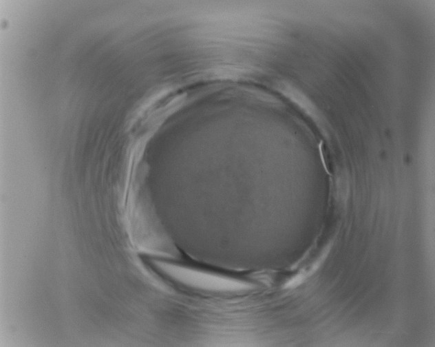 X0000065980577200603172117