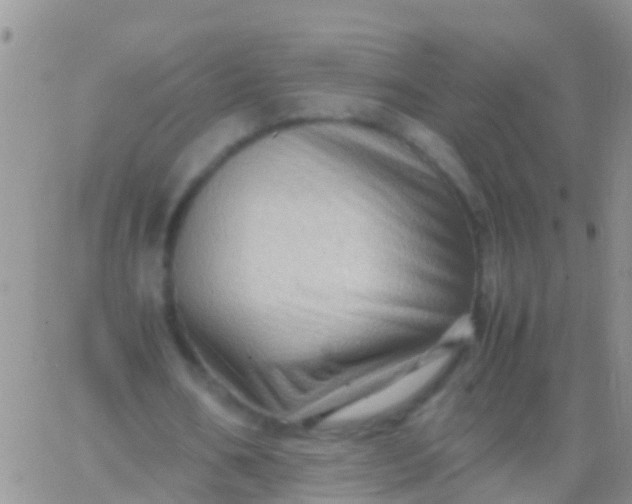 X0000065980578200603172117