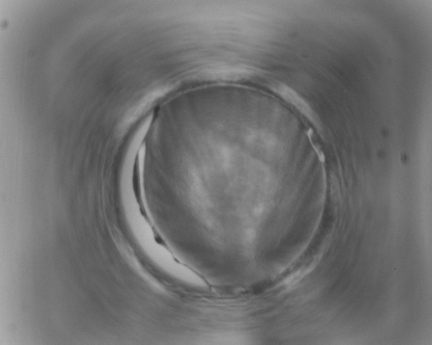 X0000065980581200603172117