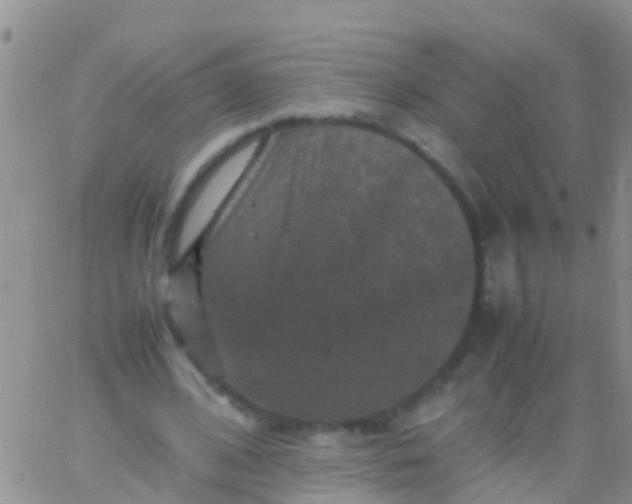 X0000065980584200603172117