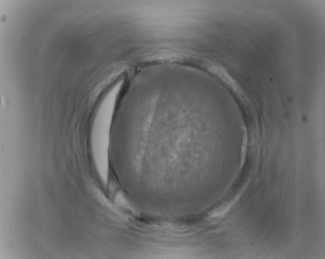 X0000065980585200603172117