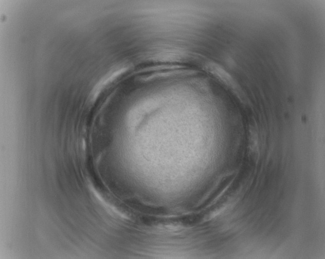 X0000065980586200603172117