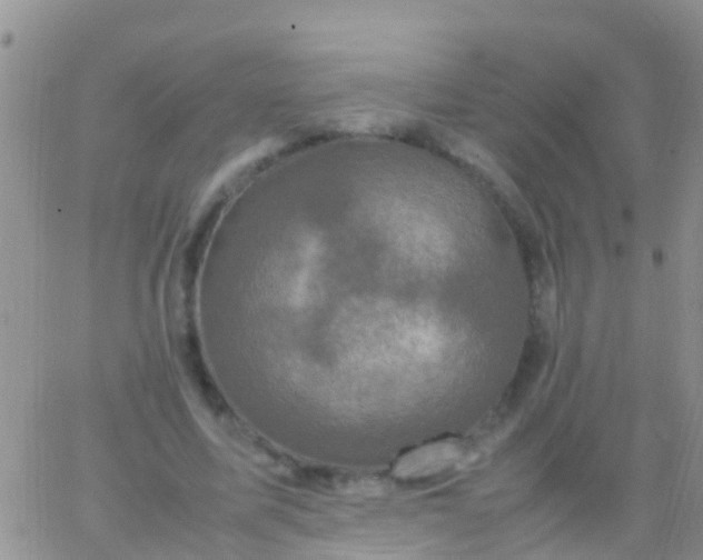 X0000065980587200603172117