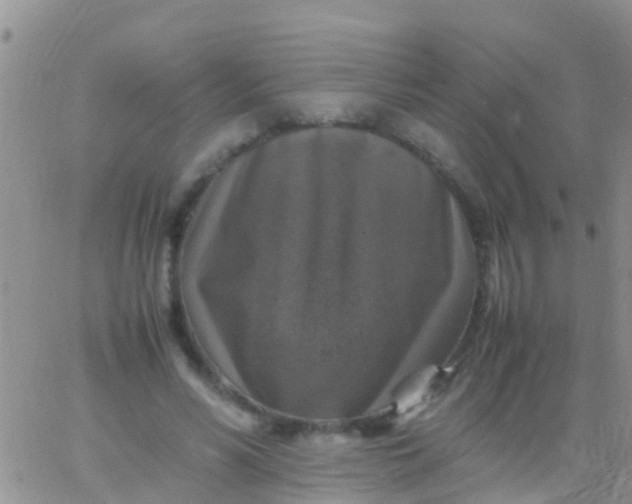 X0000065980590200603172117